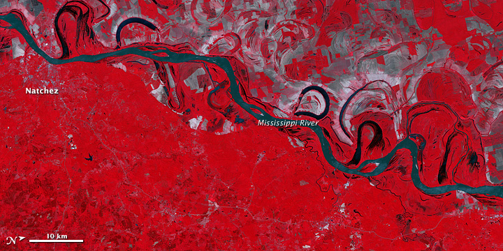 Floodwaters near Natchez - related image preview