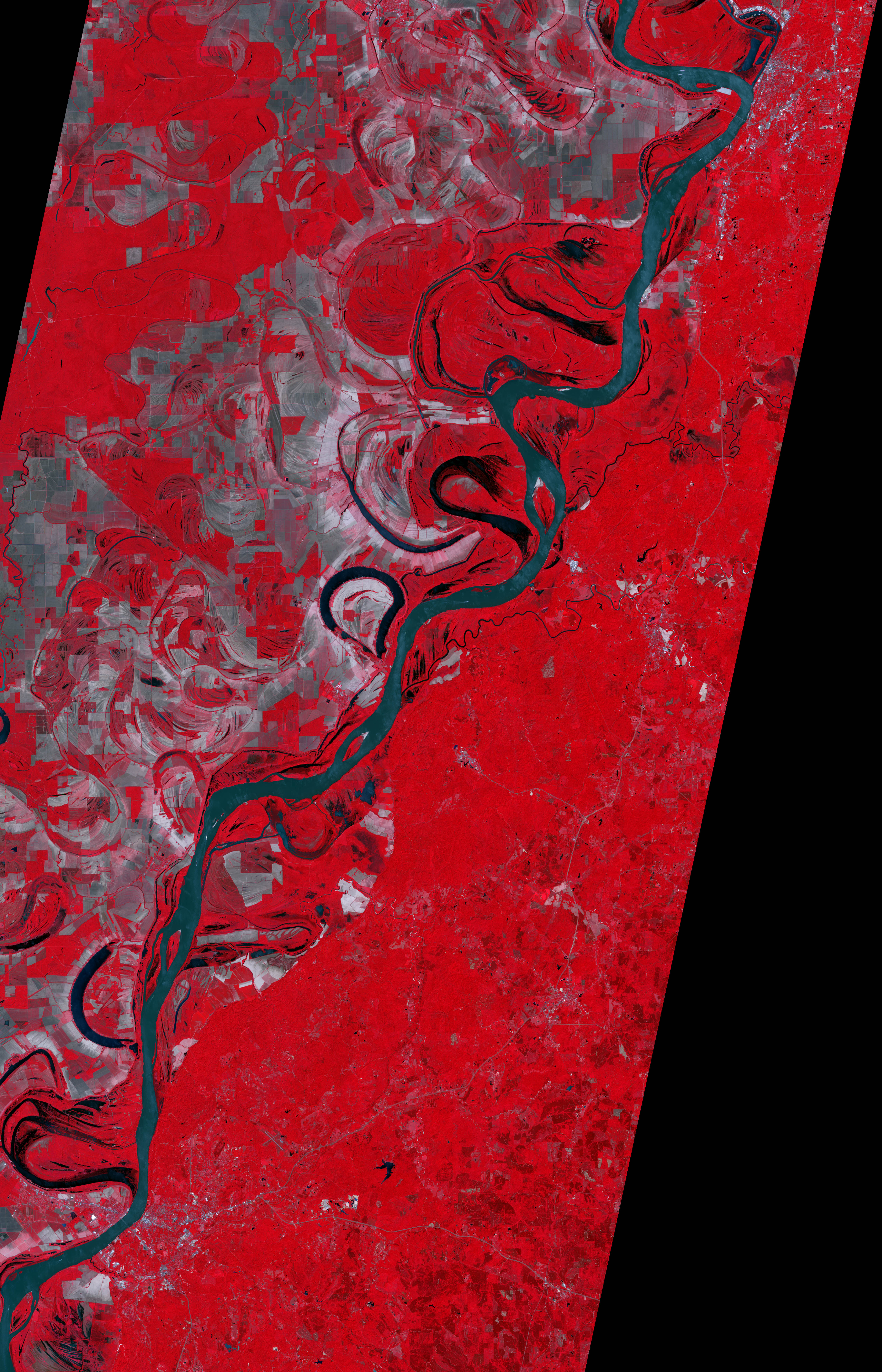 Floodwaters near Natchez - related image preview