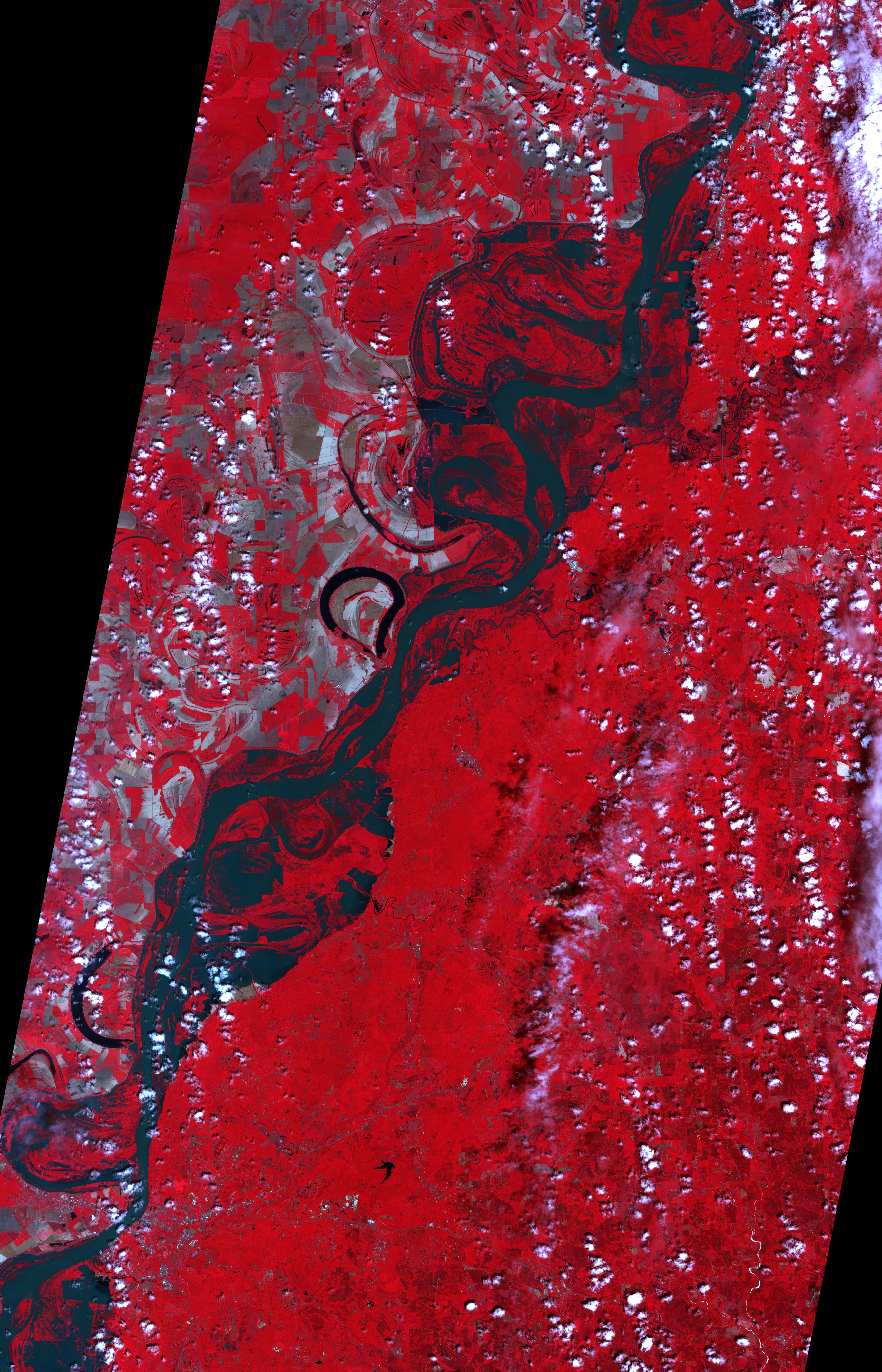 Floodwaters near Natchez - related image preview