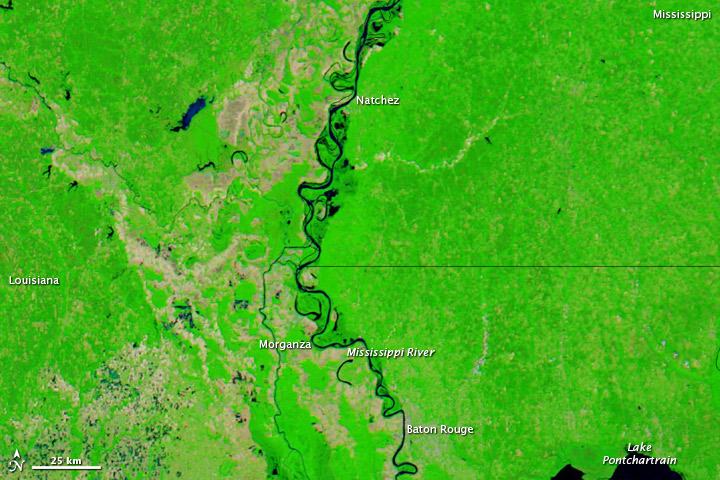 Rising Waters on the Lower Mississippi