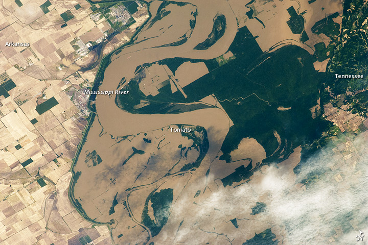 Mississippi Floods in Arkansas and Tennessee  - related image preview