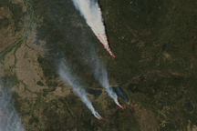 Wildfires in Alberta, Canada