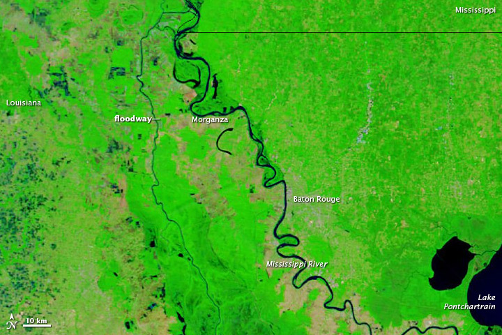 Water in the Morganza Floodway - related image preview