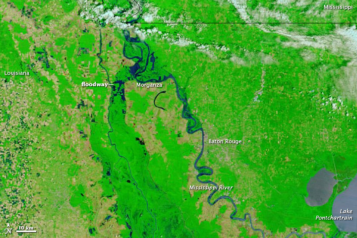 Water in the Morganza Floodway - related image preview