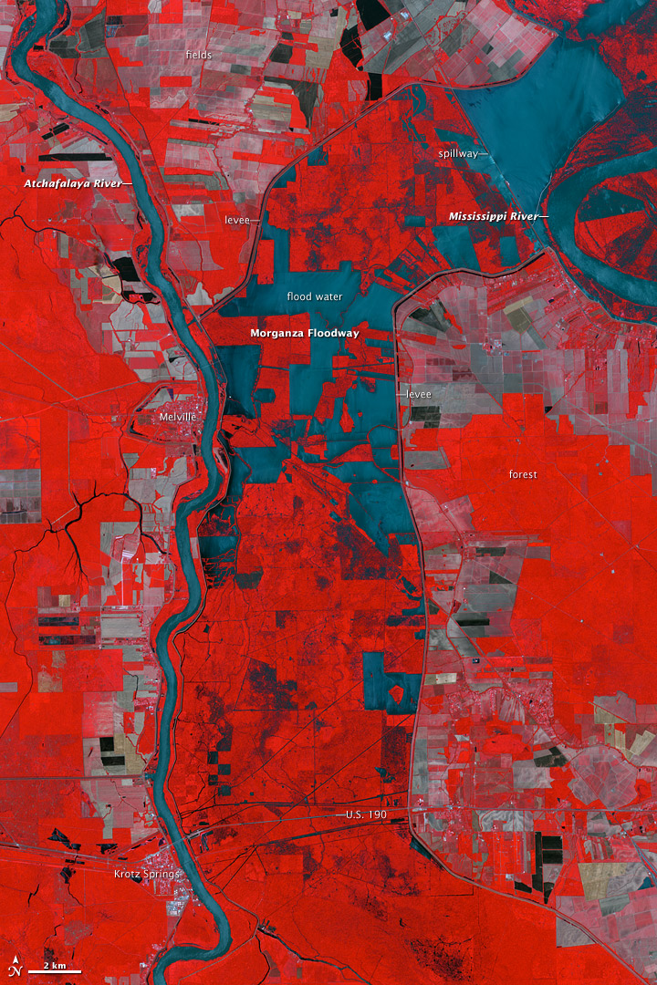 Morganza Floodway after Five Days of Flow - related image preview