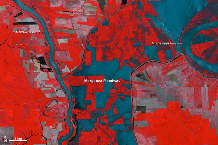 Morganza Floodway after Five Days of Flow - related image preview