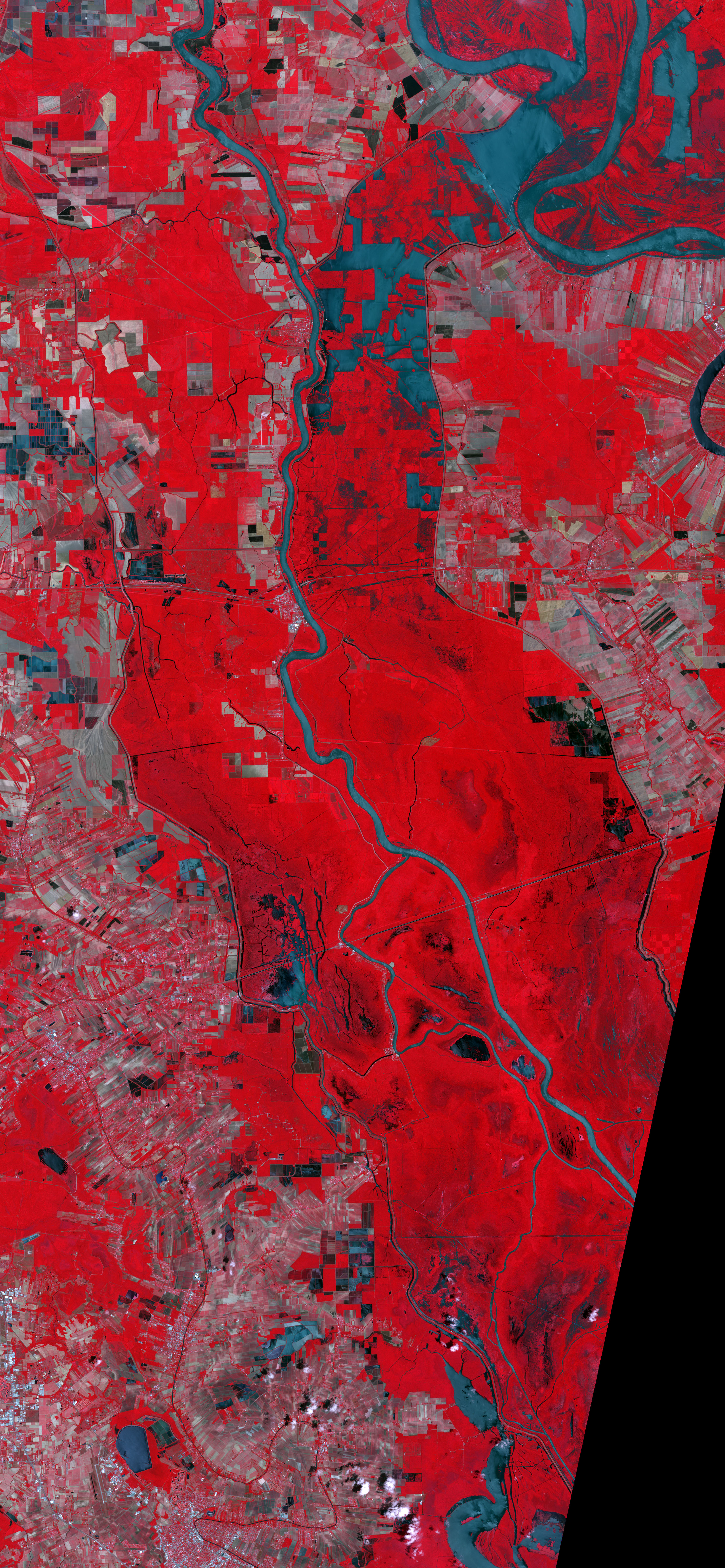 Morganza Floodway after Five Days of Flow - related image preview