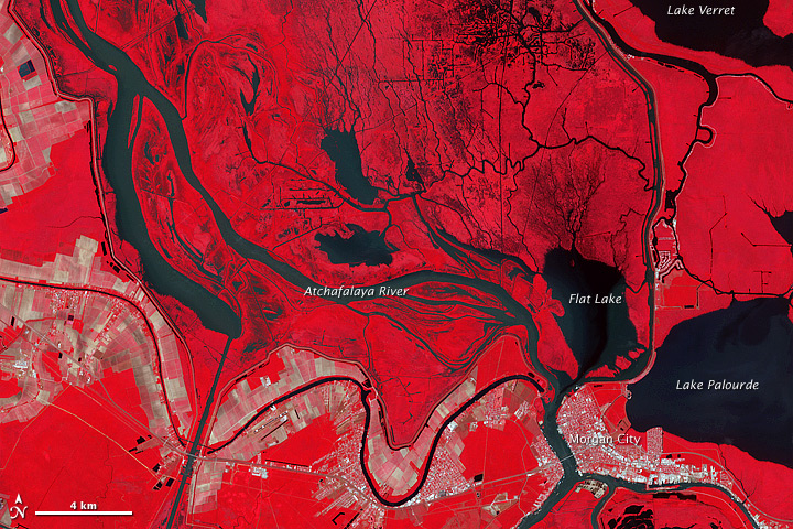 Waters Spread Across Floodway above Morgan City - related image preview