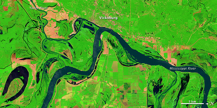 Lingering Floodwaters near Vicksburg, Mississippi