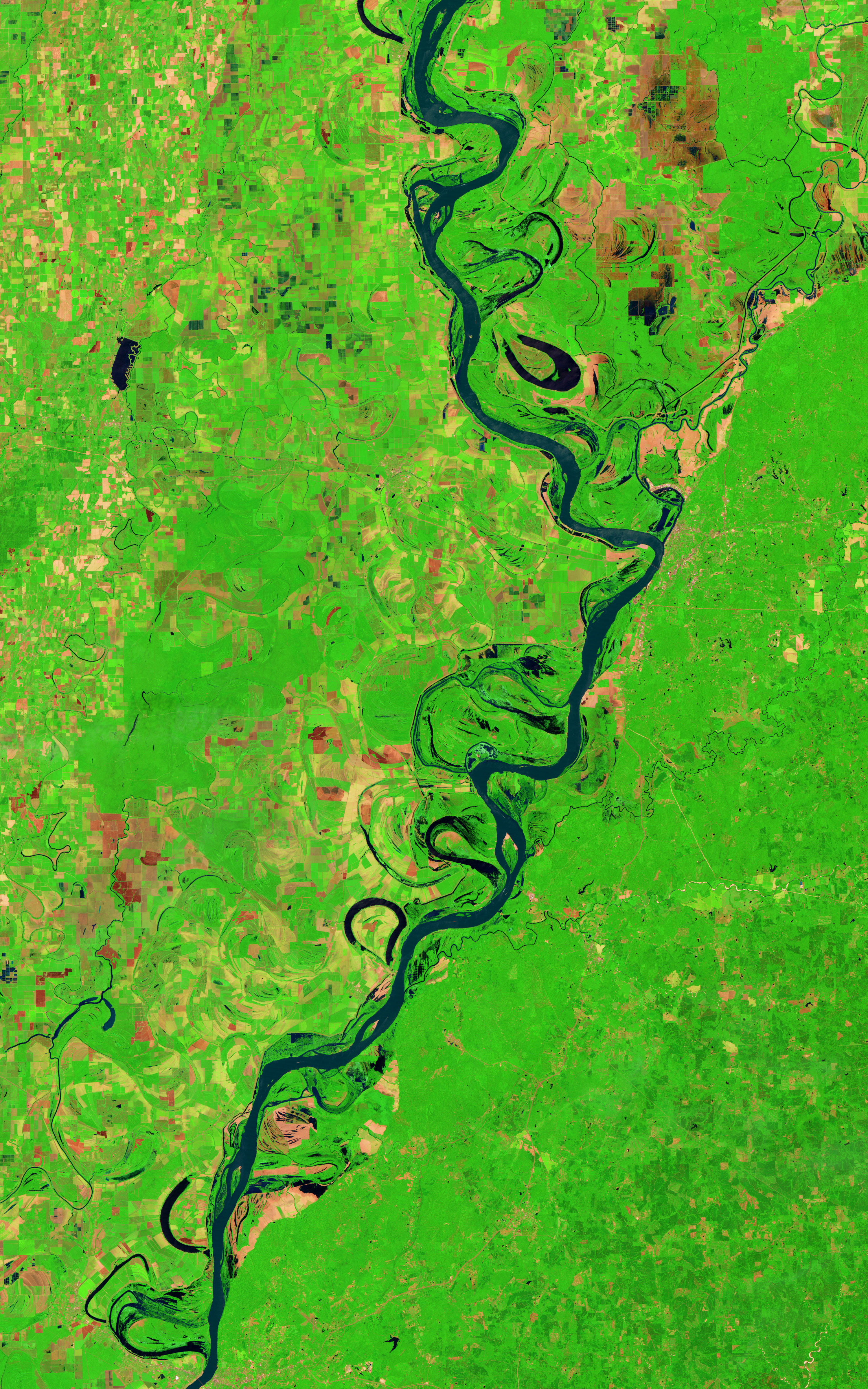 Lingering Floodwaters near Vicksburg, Mississippi - related image preview