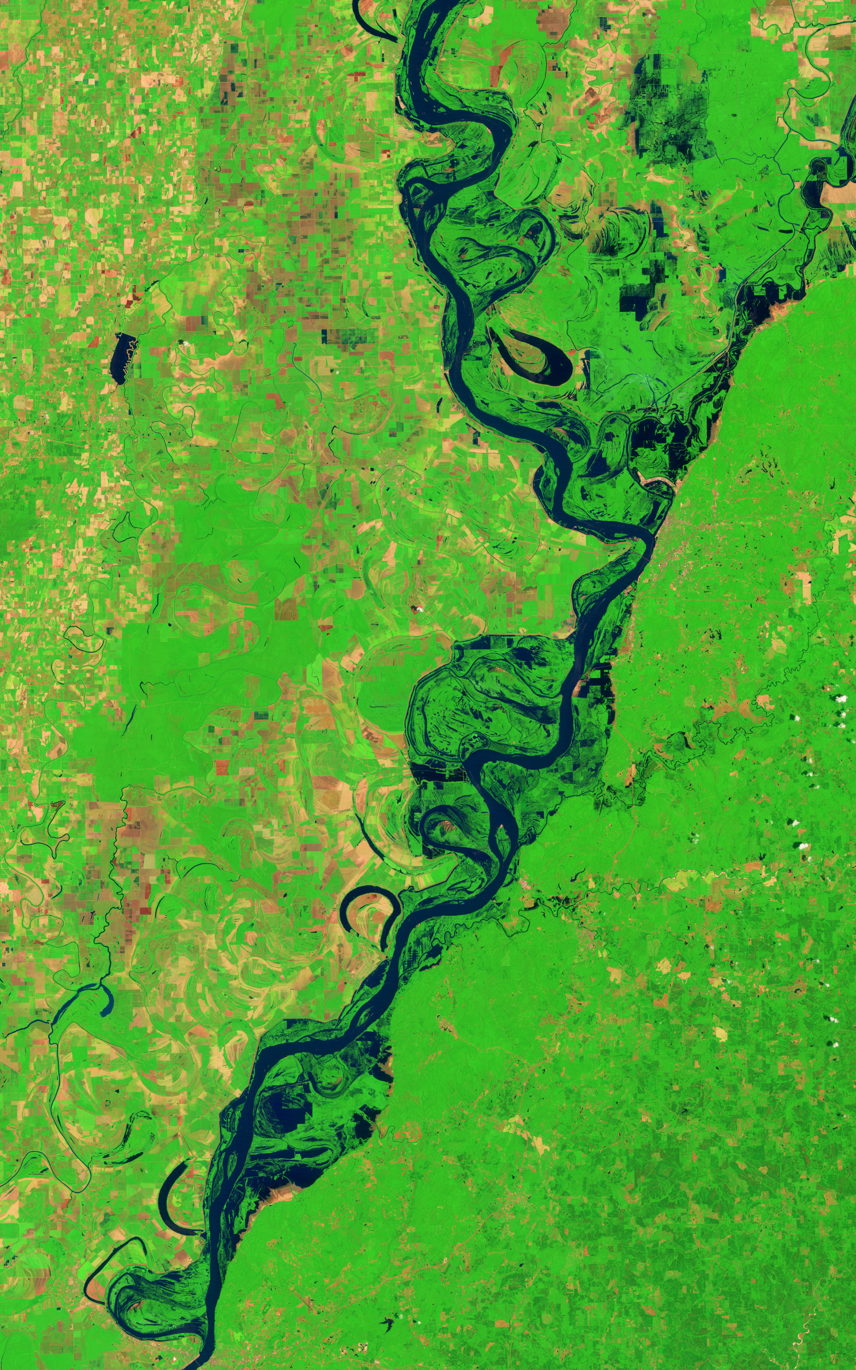 Lingering Floodwaters near Vicksburg, Mississippi - related image preview