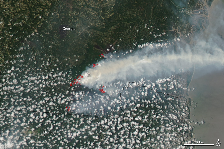 Honey Prairie Complex Fire, Georgia - related image preview