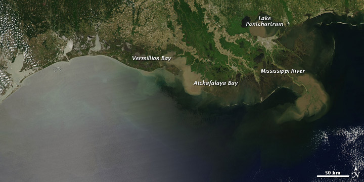 Sediment in the Gulf of Mexico