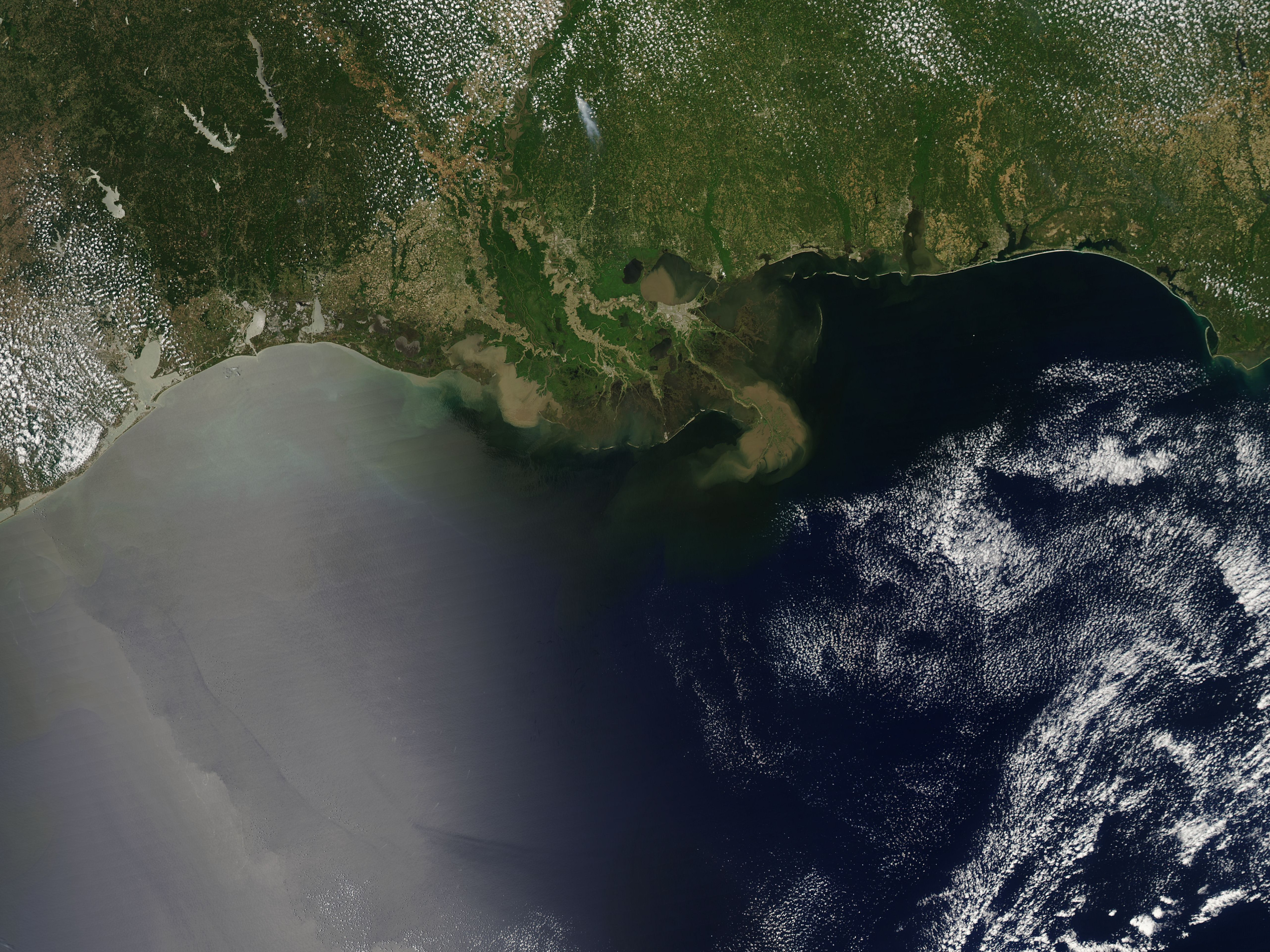 Sediment in the Gulf of Mexico - related image preview