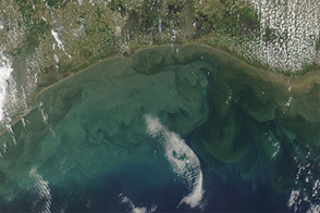 Sediment in the Gulf of Mexico