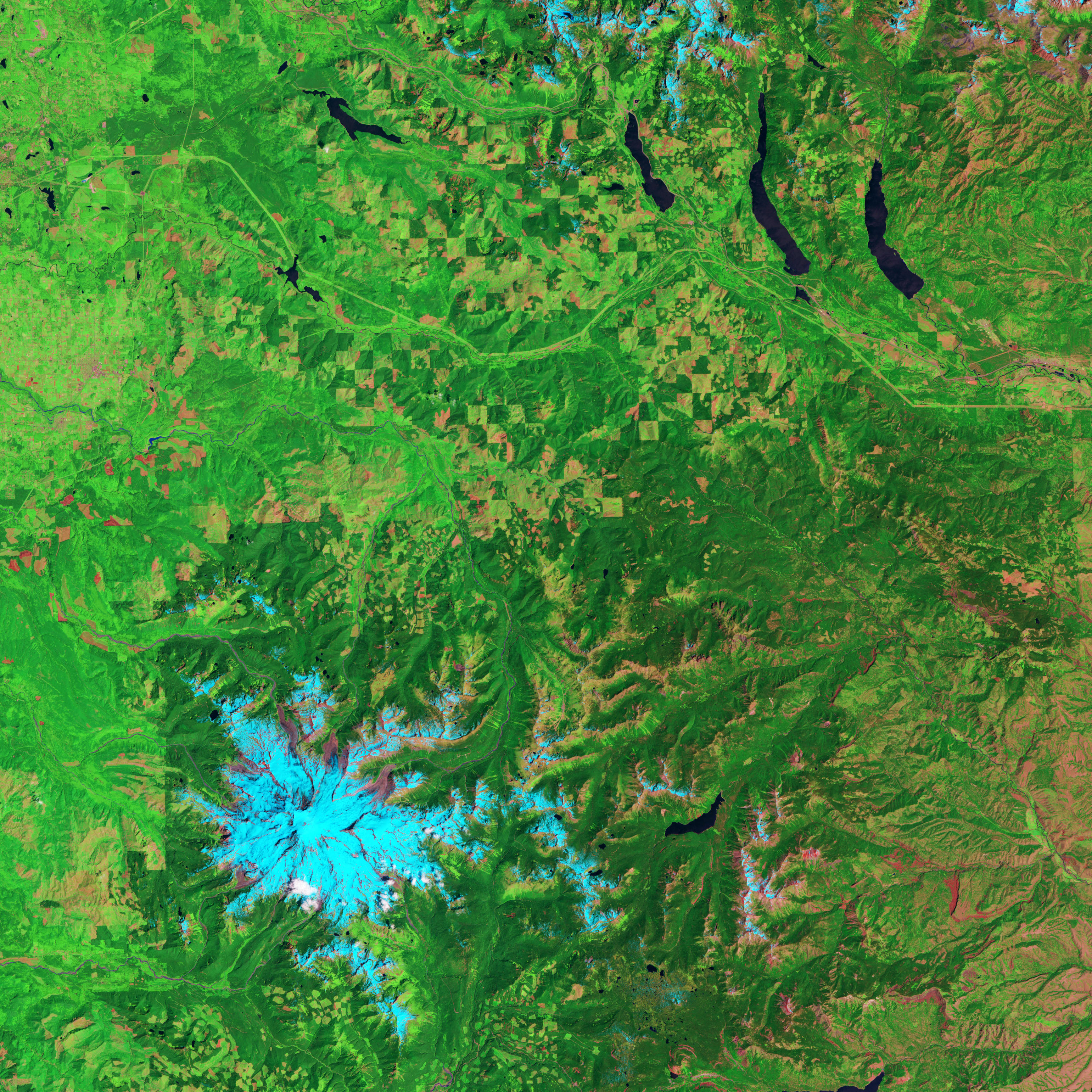 Logging and Regrowth in Washington State - related image preview
