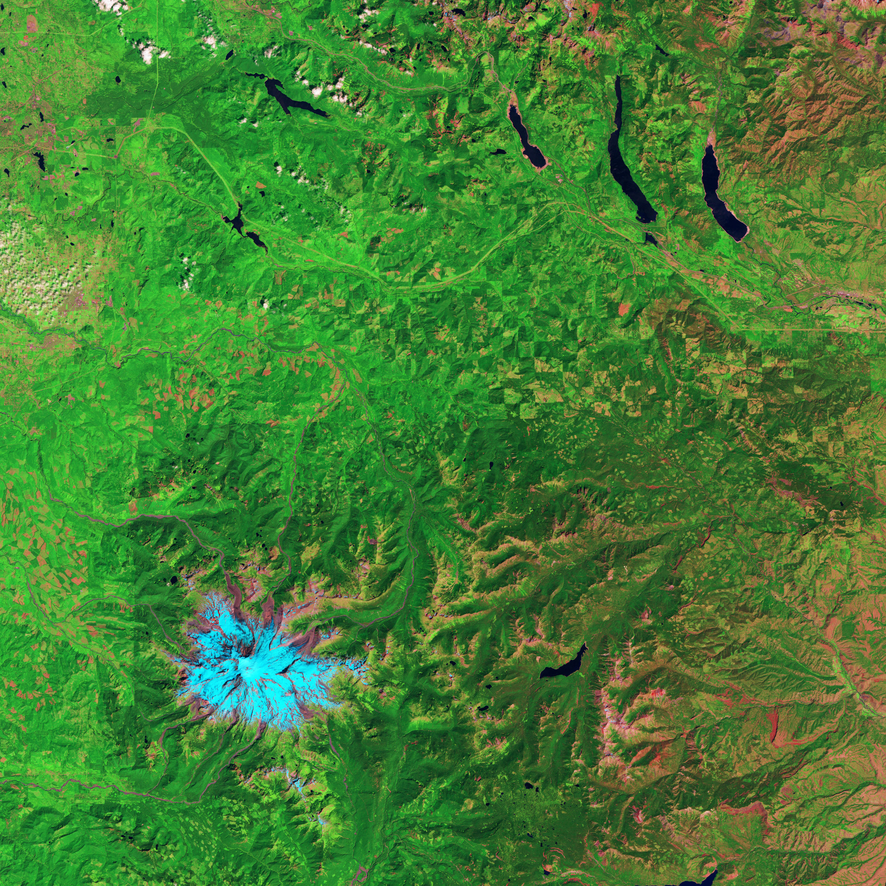 Logging and Regrowth in Washington State - related image preview