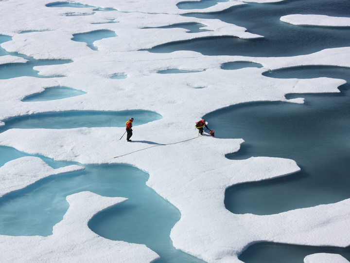 Ponds on the Ocean