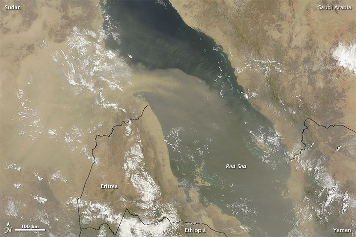 Dust Plumes over the Red Sea