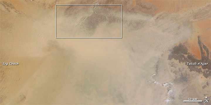 Dust Storm over Algeria