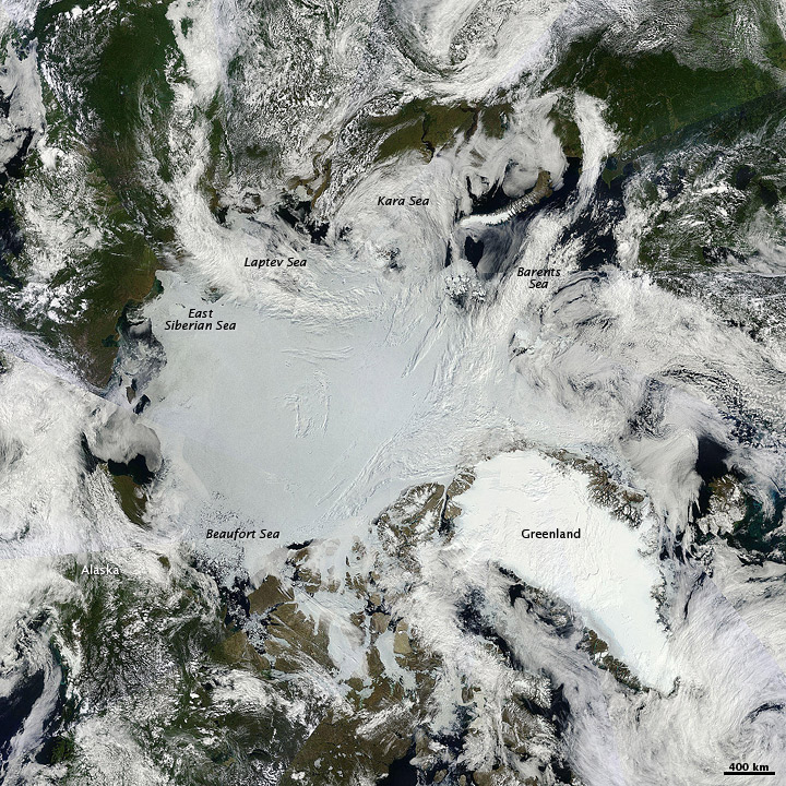 Sunny Skies over Arctic Sea Ice