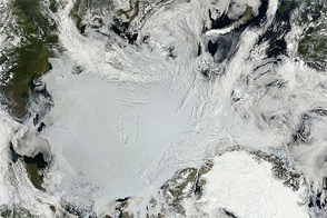 Sunny Skies over Arctic Sea Ice
