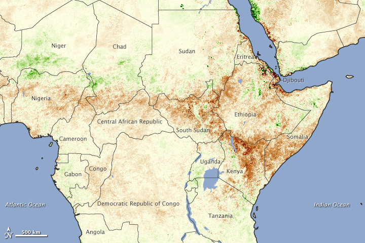 Severe Drought Causes Famine in East Africa - related image preview