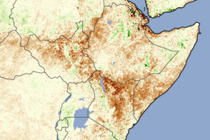 Severe Drought Causes Famine in East Africa