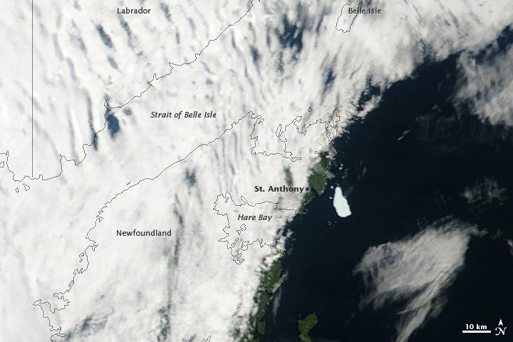 Petermann Ice Island-A Off Newfoundland