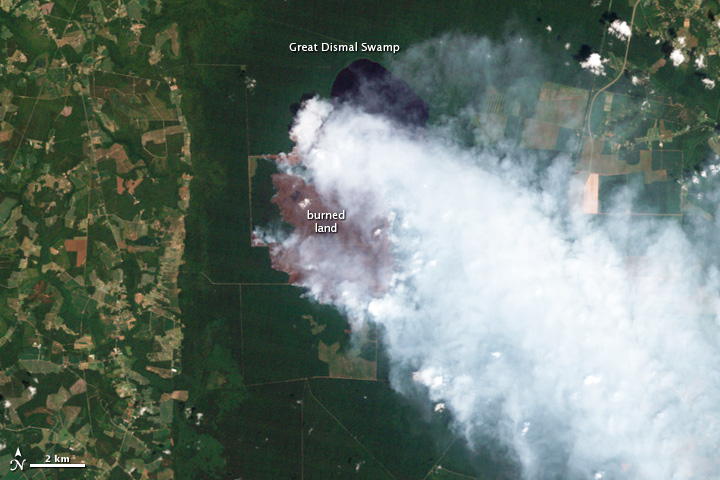 Hurricane Irene Dampens Great Dismal Swamp Fire - related image preview