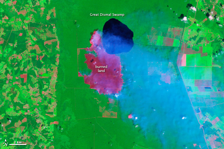 great dismal swamp wildfire