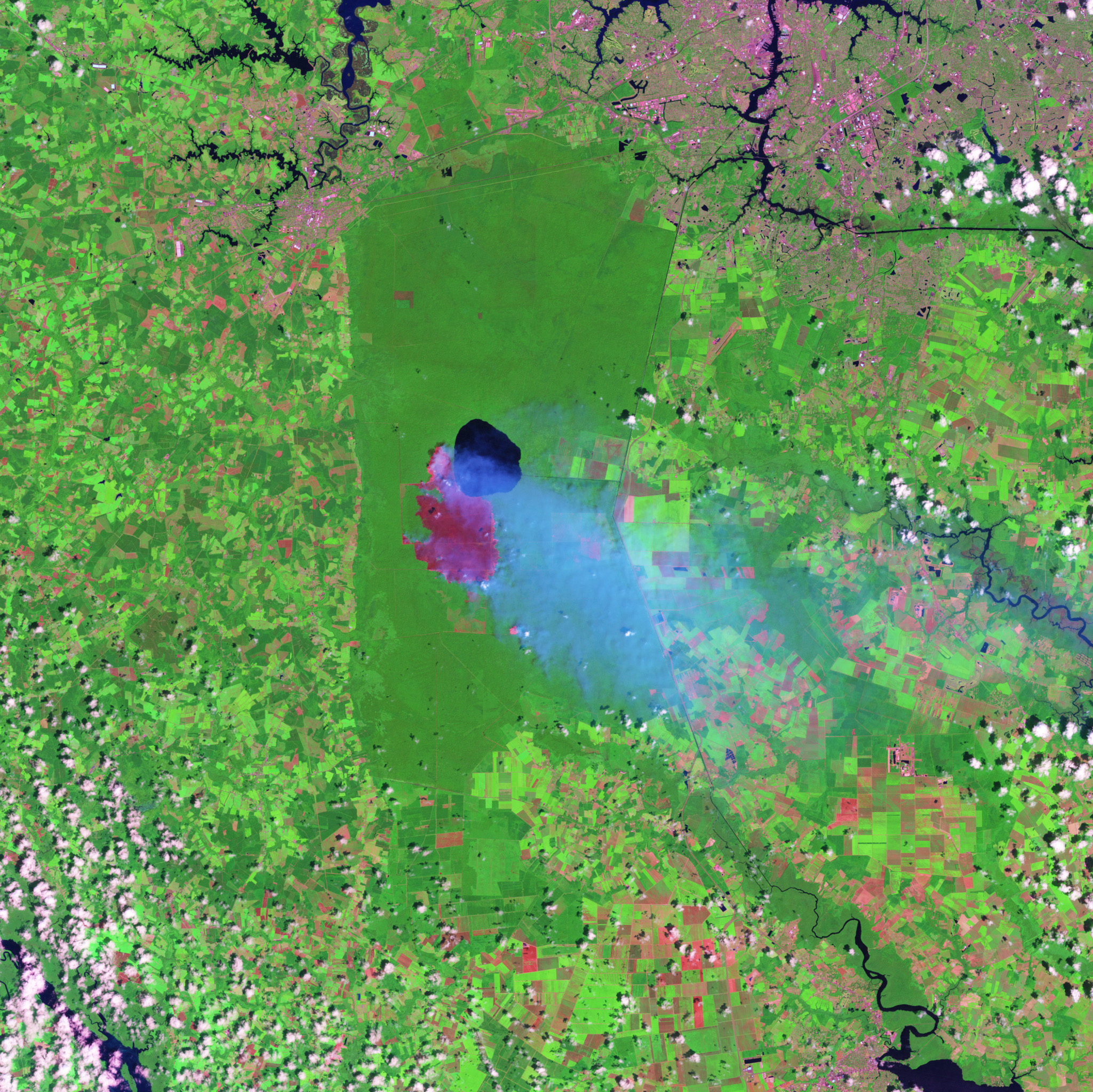 Hurricane Irene Dampens Great Dismal Swamp Fire - related image preview