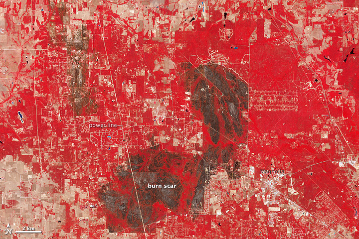 Riley Road burn scar - related image preview