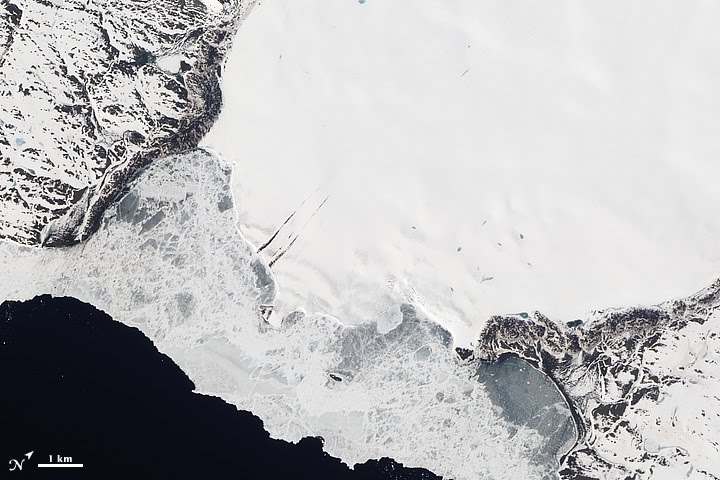 Roze Glacier, Novaya Zemlya - related image preview