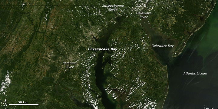Sediment Clouds the Chesapeake Bay