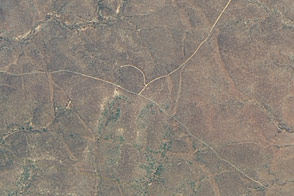 Grassland Restoration in Kruger National Park