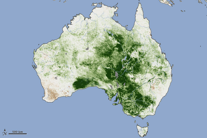 Thick Vegetation Fuels Australia Fires - related image preview