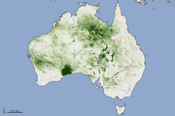Thick Vegetation Fuels Australia Fires
