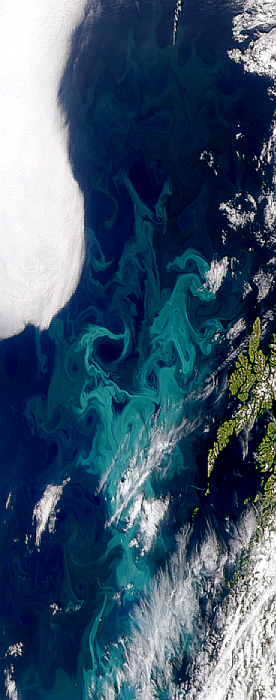 Turbulent Norwegian Sea Bloom - related image preview