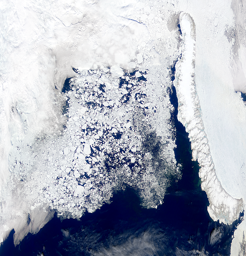 Barents Sea Ice - related image preview
