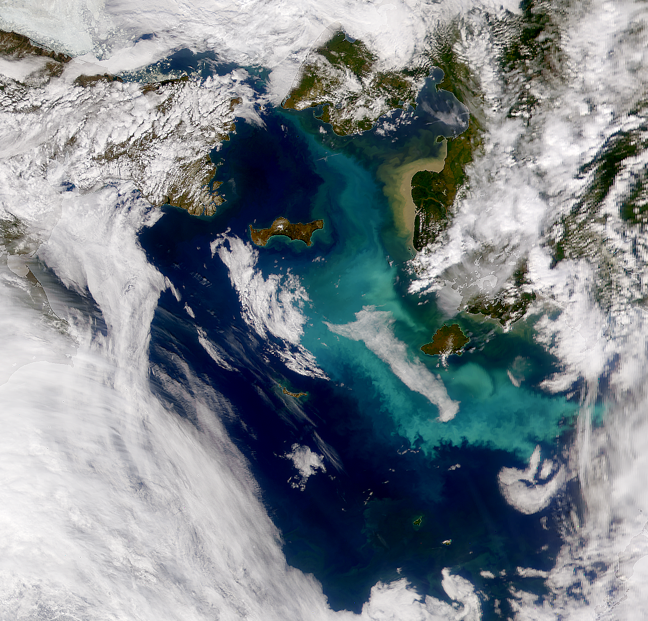 Bering Sea Bloom - related image preview