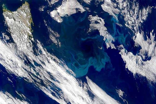 Blooming Tasman Sea - related image preview