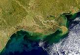 Mississippi Delta Plume - selected image