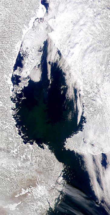 Spring Bloom in Gulf of Bothnia - related image preview