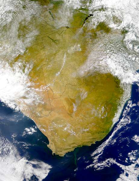 South Africa Phytoplankton - related image preview