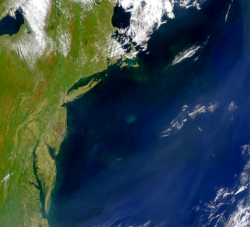 NASA Visible Earth: High Albedo Eddy Off Long Island