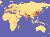 Population Density - selected child image