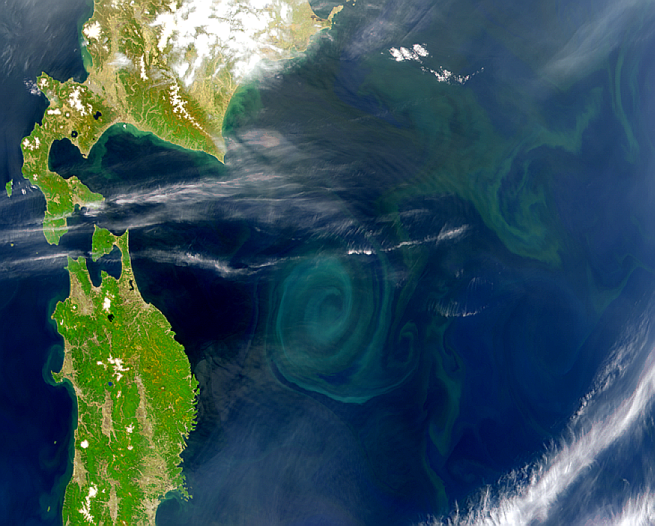 Large Gyre East of Japan - related image preview
