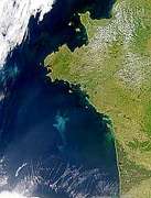 Bright Bloom in Bay of Biscay - selected image