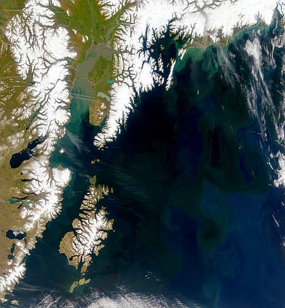 Gulf of Alaska in Bloom - related image preview